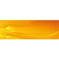 Logo Thole, Victor (Ben)