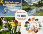 Logo ViETELLO® Shop