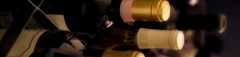 Logo Vinifera Weinhandlung Alexander Jeschke