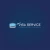 Logo VISA & Beglaubigung SERVICES