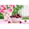 Logo Vitalessen.com Ern&auml;hrungsberatung Mareike Smyrek