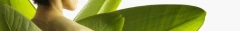 Logo Vitaltreff Rhein-Main