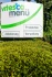Logo vitesca menü - Reimann GmbH & Co. KG
