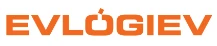 Logo Vladislav Evlogiev GmbH Co. KG