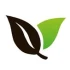 Logo VM Trading