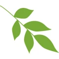 Logo V&ouml;lkel Ulla Mobile Gesundheitspraxis
