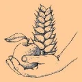 Logo Hertling, Volker