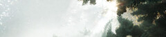 Logo Volker Timm Bestattungsinstitut