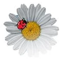 Logo Vollmer