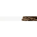 Logo VVS - Verpflegungsautomaten Vertrieb Plus Service
