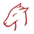 Logo WAGNER Security Markus Wagner
