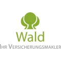 Wald Assfin GmbH Panzweiler bei Blankenrath