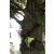Logo Wald&Garten