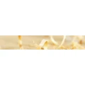 Logo Golombek, Waldemar