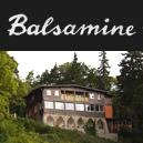 Logo Waldgasthaus Balsamine
