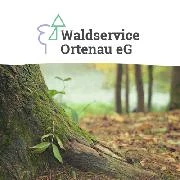 Logo Waldservice Ortenau EG