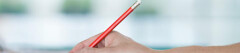 Logo Walsch Promotion