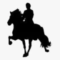 Logo Walter Derwald Gest&uuml;t Sommerberg