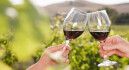 Logo Waltner-Weine Vinothek
