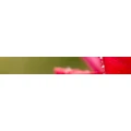 Logo Hossdorf, Waltraud