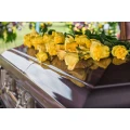 Warrelmann Tischlerei Delmenhorst