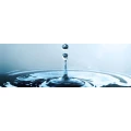 Logo Wasserbetten