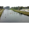 Wassersportverein Osnabr&uuml;ck e.V. Osnabr&uuml;ck