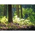 Logo Wasserversorgungsverband ""Hoher Fl&auml;ming""