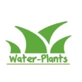 Water-Plants Arzbach, Westerwald