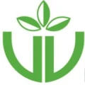 Logo Blumen Wattenbach