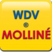 Logo WDV-Molliné GmbH