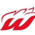 Logo WEBER KAMIN Inh. Lutz Weber