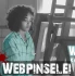 Logo Webpinselei