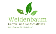 Weidenbaum Merxheim