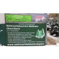 Weihnachtsb&auml;ume