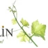 Logo Weingut Birmelin