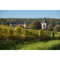 Logo Weingutsverwaltung Schloss Vollrads KG