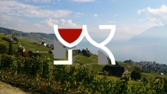Logo Weinreize Röhe Thamm GbR