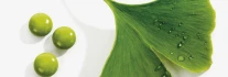 Logo Weißenfels Naturheilpraxis