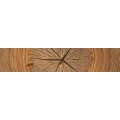 Logo Welter Rainer