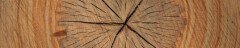 Logo Welter Rainer Schreinerei