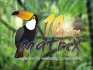 Logo Werbeagentur Matrix -