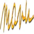 Logo B&uuml;rkle, Werner