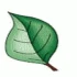 Logo Werner Gudrun