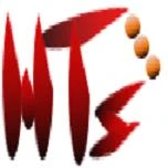 Logo Werner Theis