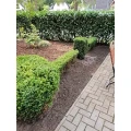 Werners Galabau Bremen