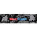 Logo WertOptik