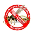 Wespen Soforthilfe Reiskirchen Reiskirchen