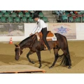 Logo Westernreitsport Rabia Bakri M. Aeckerle & R. Bakri GbR