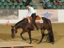 Logo Westernreitsport Rabia Bakri M. Aeckerle & R. Bakri GbR